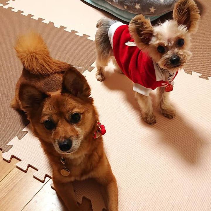 2e9af4c7 a850 4f82 92e8 1cb1bb7676eb 1576927167340