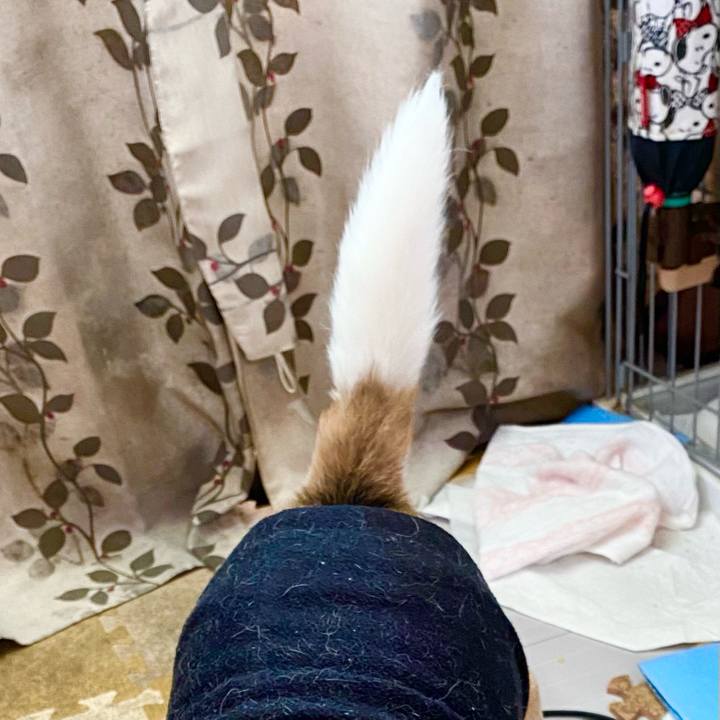 2e9b161a e01a 4e7f a79c 31b5f781e0ec 1615348278236