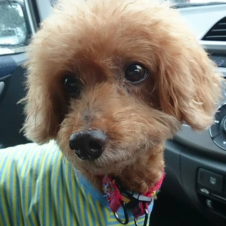 2e9b1722 60df 444d bf78 b8e75192f48c 1530946234941