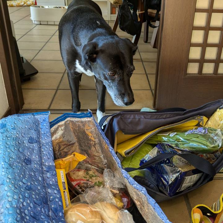 2e9b507d 8832 4ffa 8c08 b1cec315b758 1728903257711