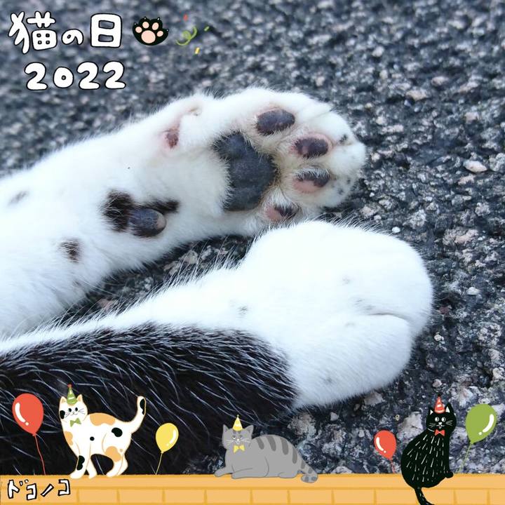 2e9b811e 88eb 48d1 8c48 bfdb760fd267 1645529356589