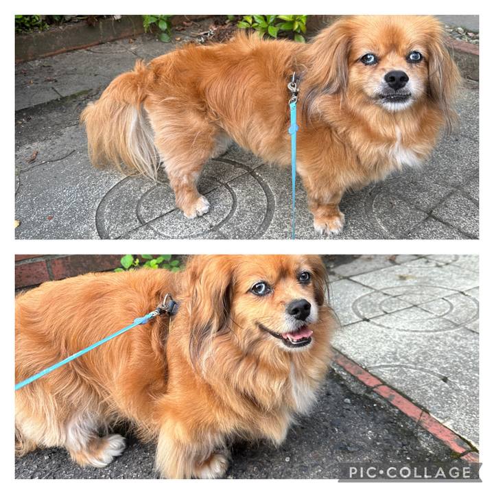 2e9b94de 3580 40d4 8255 61180a84d45d 1689465362934