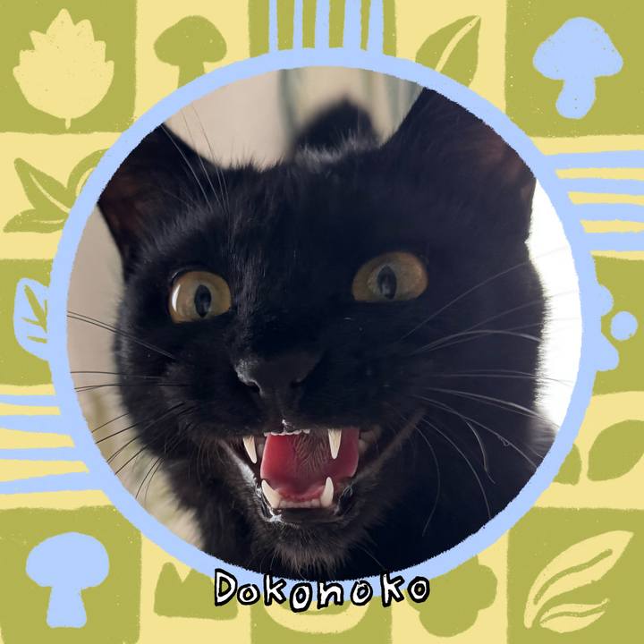 2e9bb31c 4567 4786 9259 7b22eda73327 1761124533898