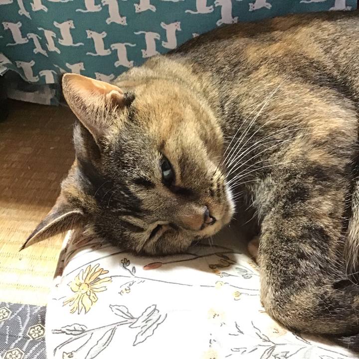 2e9bb991 2892 4461 98bc a809f7050932 1759559017464