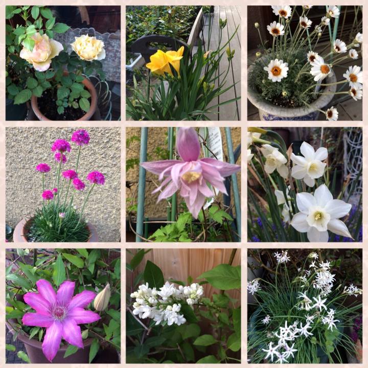 2e9c421f 1505 4328 81c3 151e615a471b 1523178205247