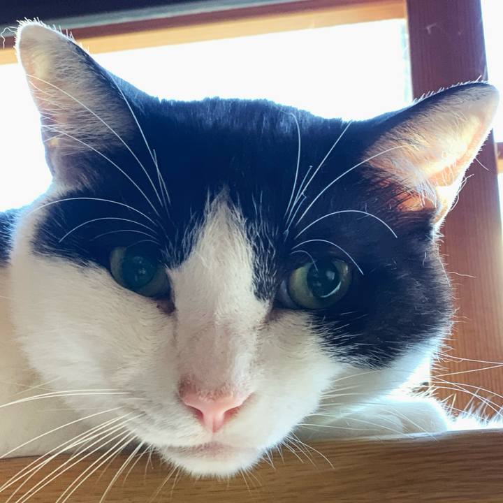 2e9c758b b227 4584 b964 895f03b4477c 1597110236223