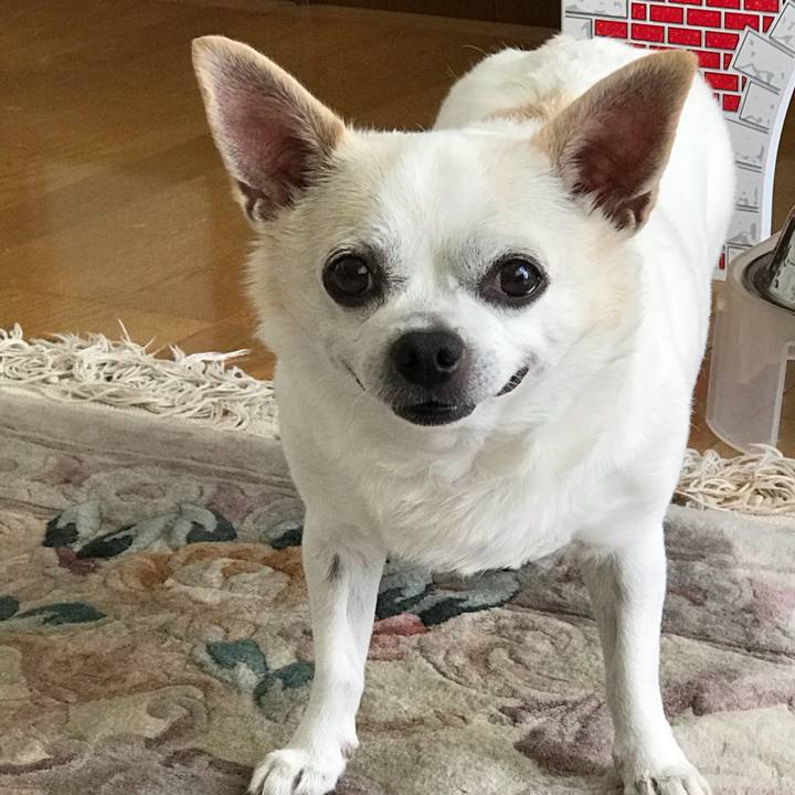 2e9cbe11 fa06 448a ad8a 2c6e9286b26c 1570109253303