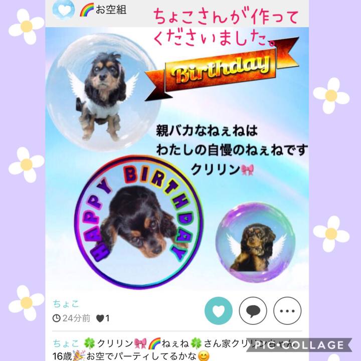 2e9d245d 6233 4686 bff2 fa05f42f7334 1557140732854