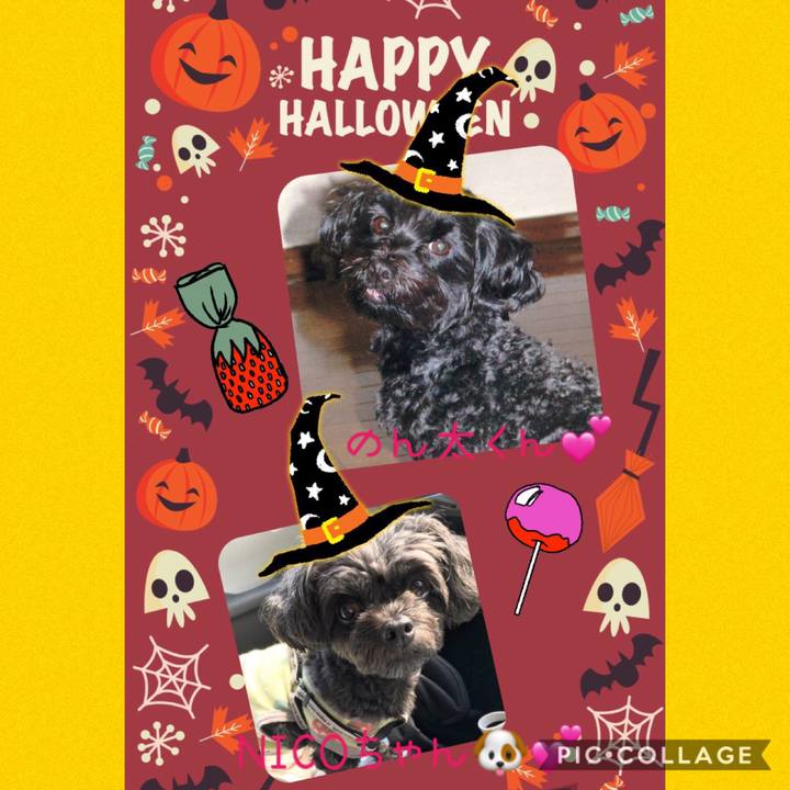 2e9d5b99 3de8 41be b48c 3459bae8d9a7 1571895216868