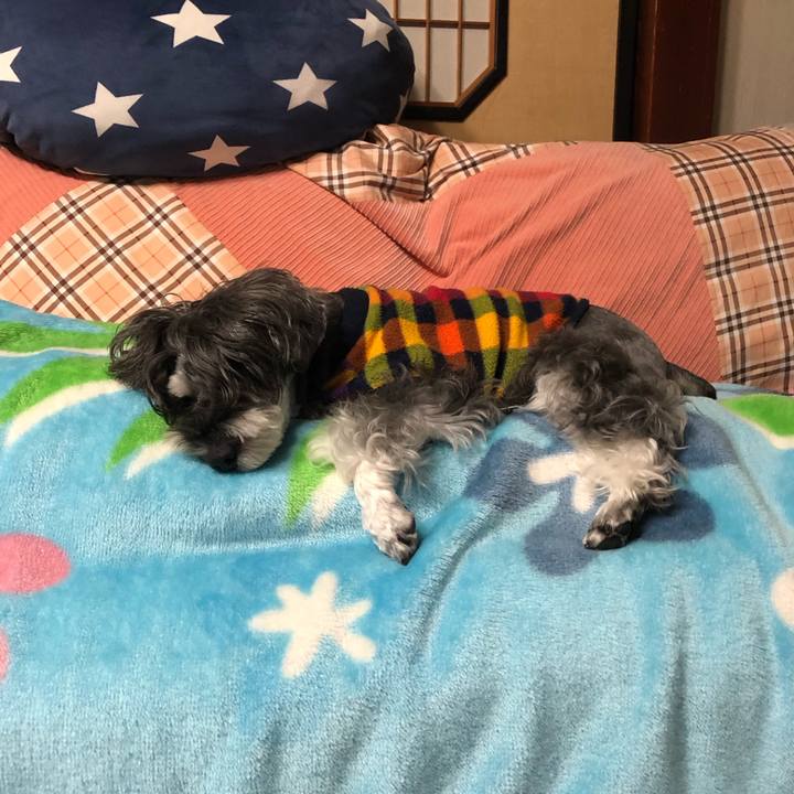 2e9d8642 9974 4e02 85fd d0feaf58b236 1696766050533