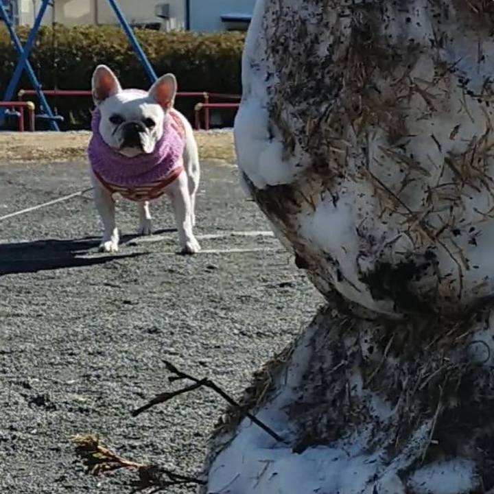 2e9d8945 ca53 464e afcd 9d5e227c00e1 1641643757905