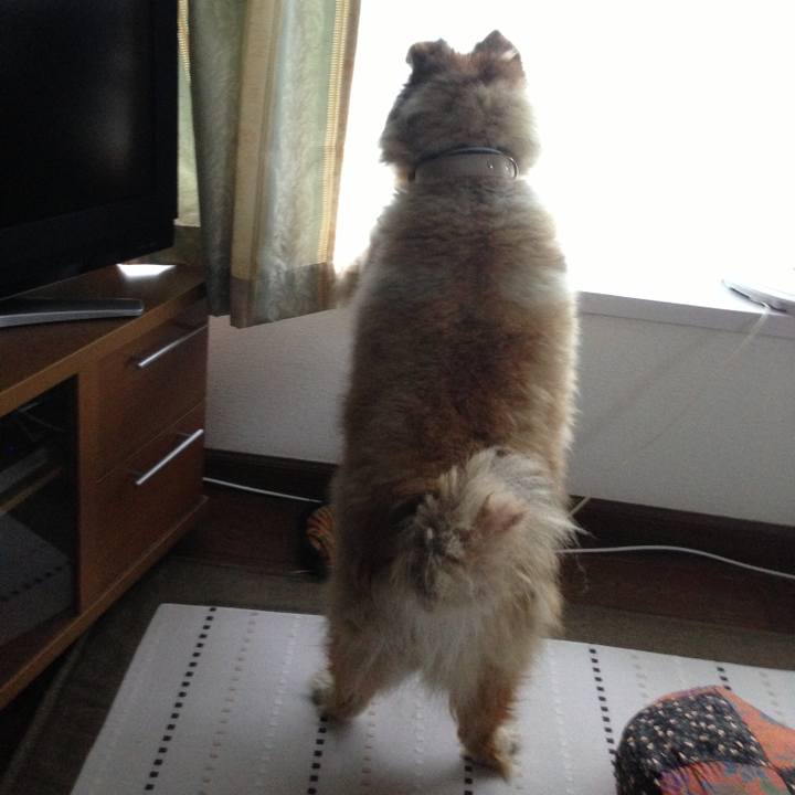 2e9dae81 ba4d 4840 a412 65497fddb261 1584902025898