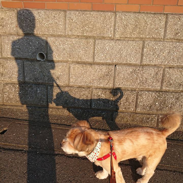 2e9db3cd 9a5f 4dde 957d b864905a6999 1592950514476