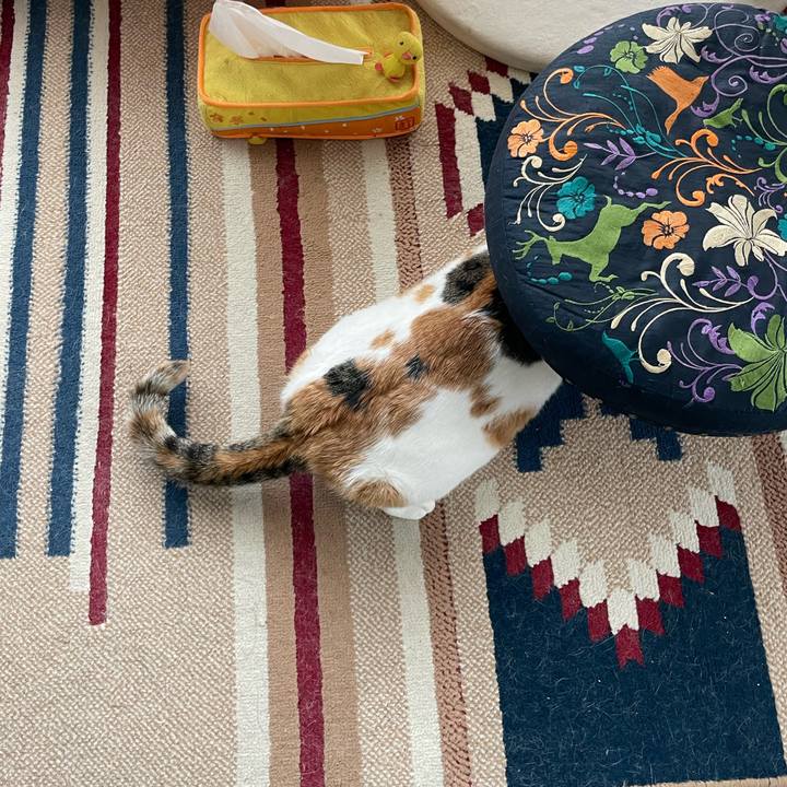 2e9de641 f294 44c2 8ccc ac875844e837 1648683848033