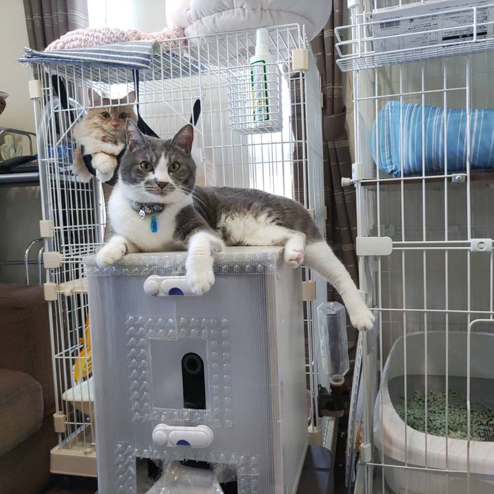 2e9dfa2b ce8a 4b98 9fab 01d79b9a25b6 1685173438639