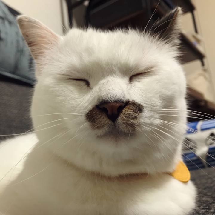 2e9e1dad 2fd8 495d 818b 054cd1201f9b 1596083501086