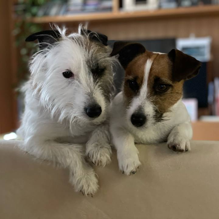 2e9e4b6e 1a8c 48b4 83e8 6b736bed4ff1 1682465838298