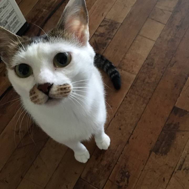 2e9e4fdc 7b2b 4044 b6a8 531773730d6c 1532512337792