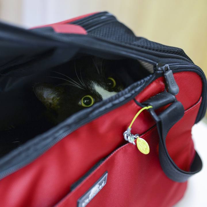 2e9e692e f7b3 4841 b910 e7e1da65d8ed 1537043501686