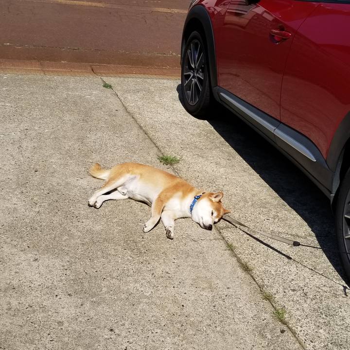 2e9e7cac bf67 4965 9778 15e32687b4e1 1565484493583