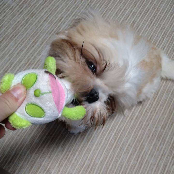 2e9eaf78 d094 4f2a 96f7 2ca5a2e09ea4 1605567047319