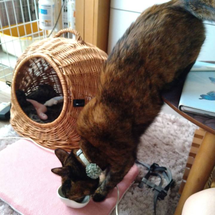 2e9eeac4 dc54 4dc7 9f5b 349a5afc826e 1668327015875