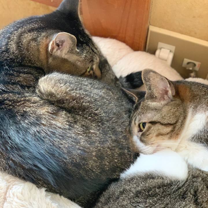 2e9f0c37 c194 4092 ae5c cc088b4be008 1596070606923