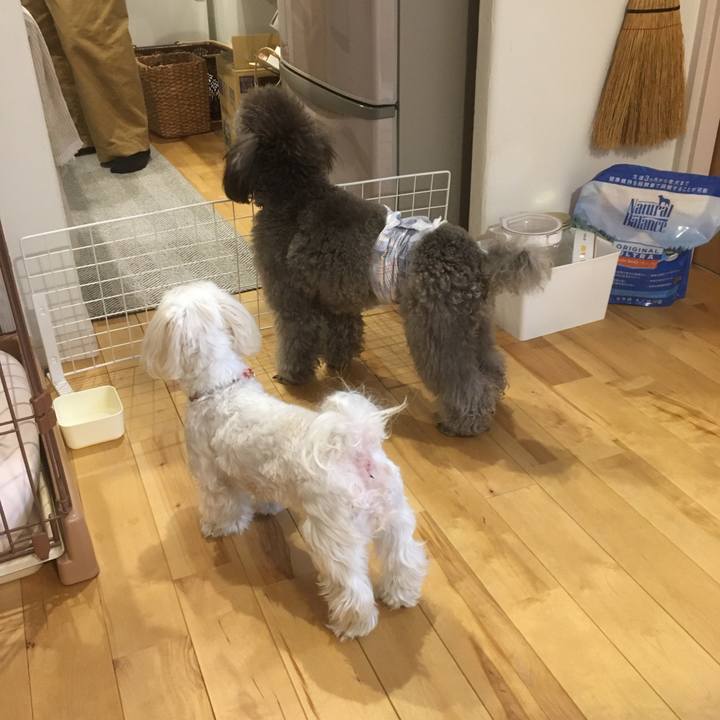 2e9f3ab9 aa88 4f4e 9a27 4852ee258716 1604671649842