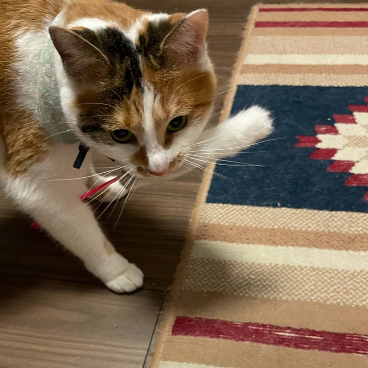 2e9f4075 e208 4726 892a bb7e1d298b81 1672293661076