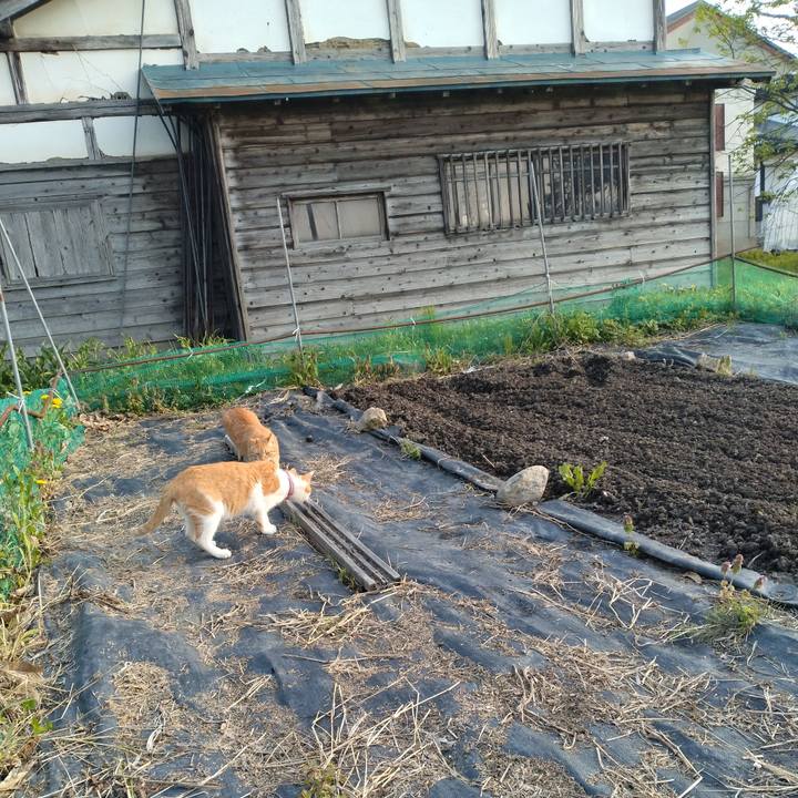 2e9fba54 0687 47ad b30c 8fcc0a466306 1747215395957