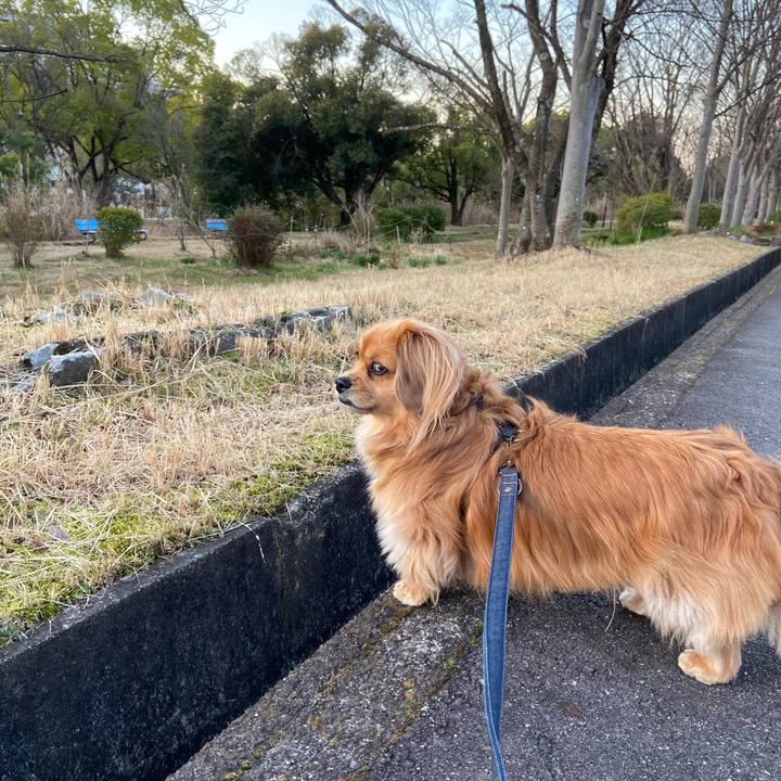 2e9fbee6 1721 4a0b 88ed 21da0b4759e0 1583963330535