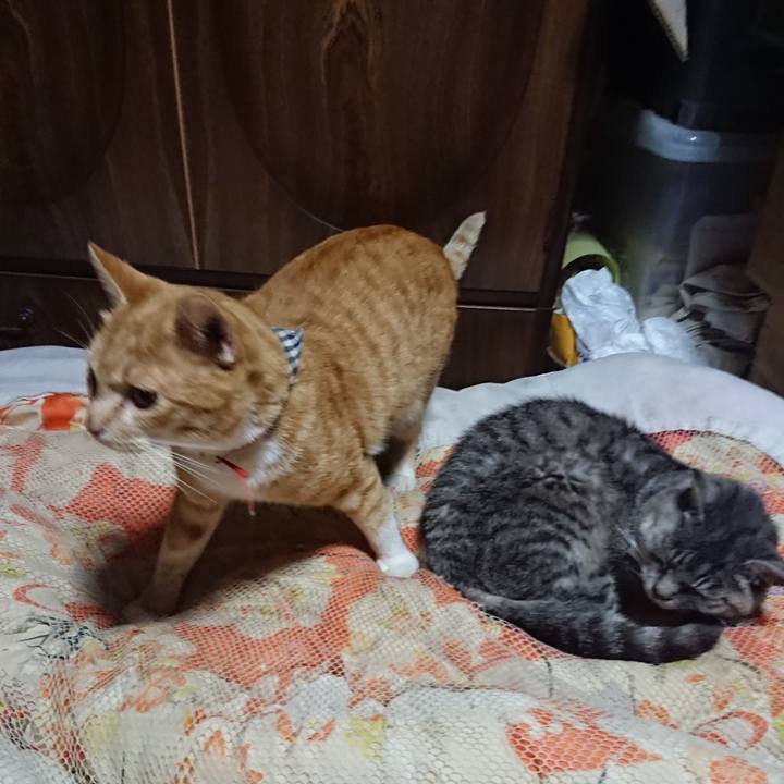 2e9fc1b1 33dd 4f2e a34c 2057663f882d 1571402343492