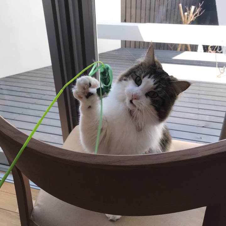 2e9fc4b6 772d 42a0 9db6 ffb63b19c894 1521254070436