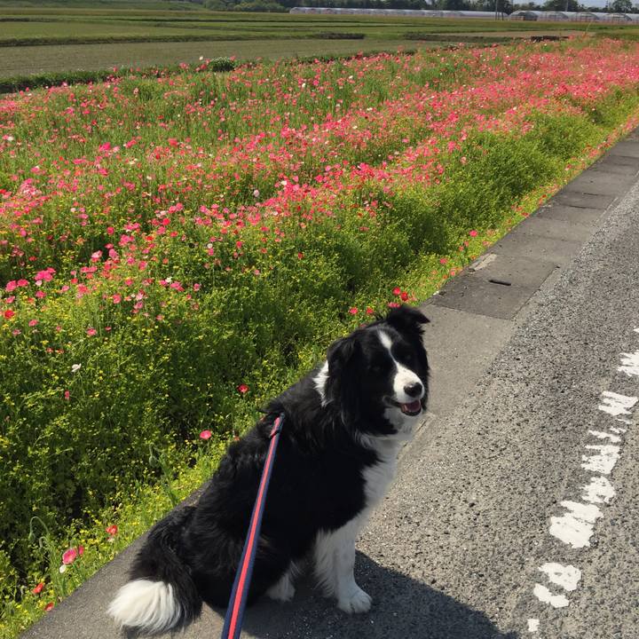 2e9fce19 6b0f 4f41 a8f2 6f1e2b7b9347 1588296657199