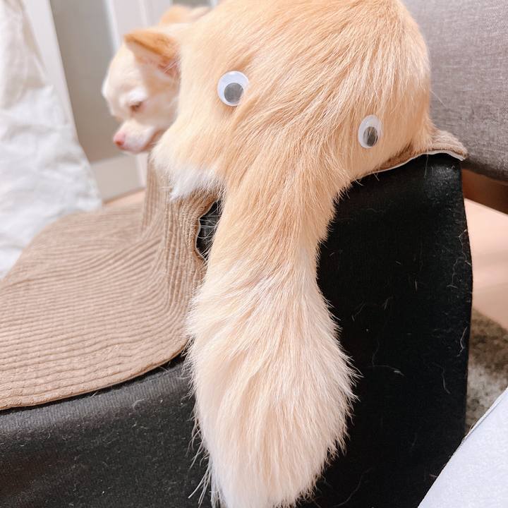 2e9fd1ed 6be7 463f 9da8 a8913e033301 1661765201486