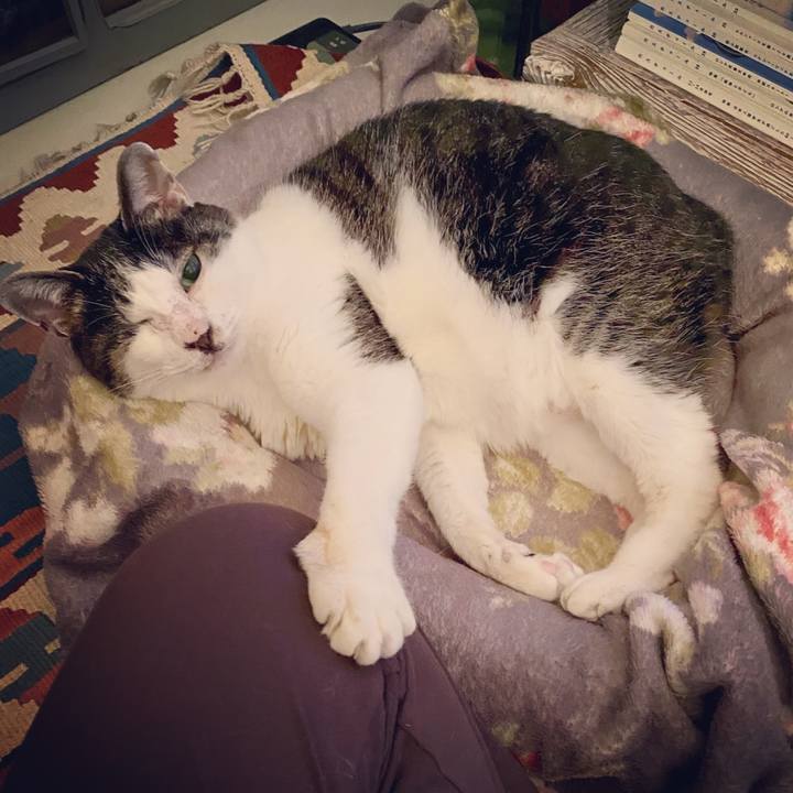 2e9fdac5 0b9a 4fa7 9d54 fd9cda9f1528 1582300948355