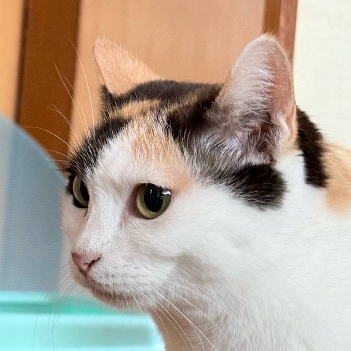 2e9fe16c 43f5 4beb abcc eefb1a8fca62 1731718669632