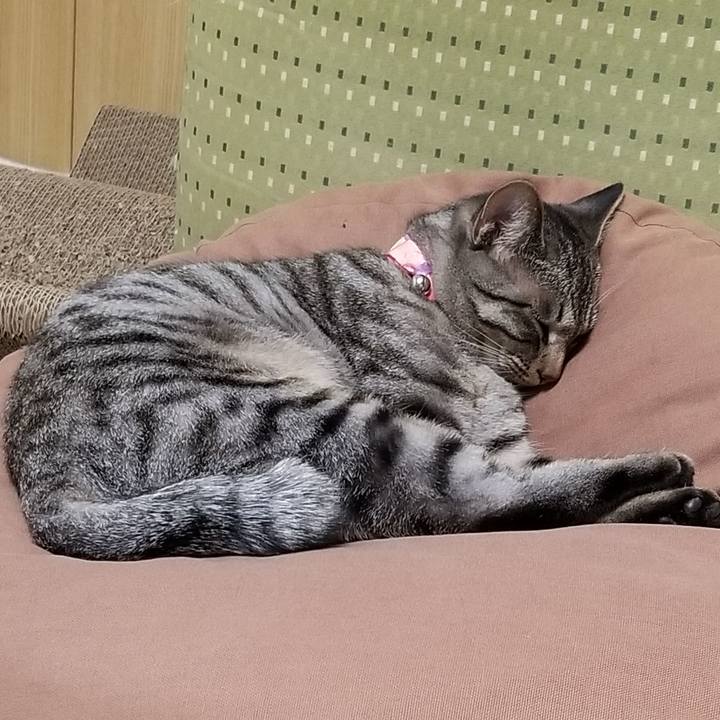 2ea0510e f412 4c1c a588 2cce70eb66e4 1684851244855