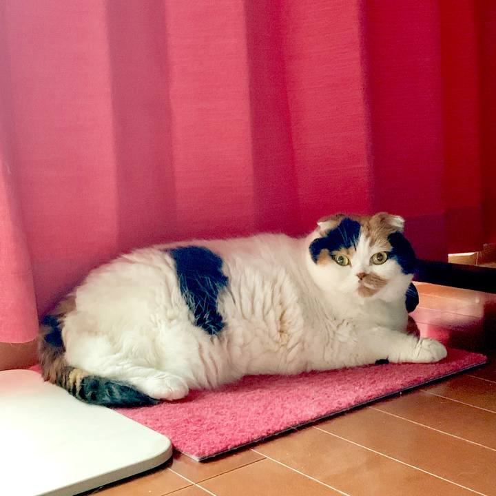 2ea059fa 4f5e 41f4 b933 cbd490b25966 1565301325466