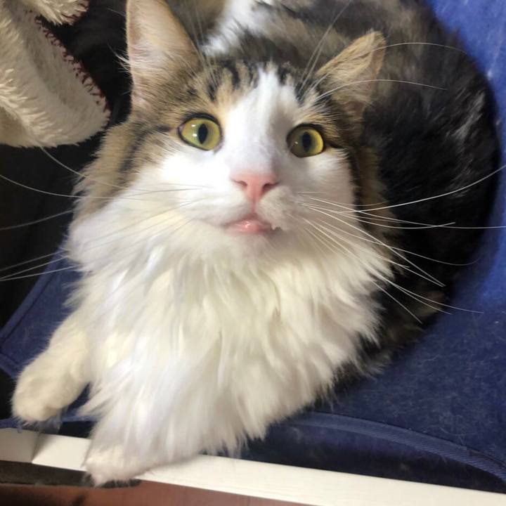 2ea064cc bec1 4dda 9577 e9f95e78a0e9 1570677492285