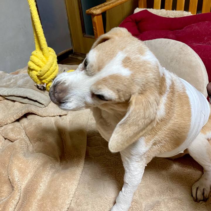 2ea0a06a 4da3 44fa 8097 7ceb51000a5d 1583846536801