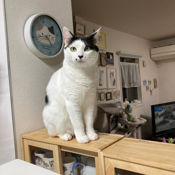 2ea0a3e5 35dc 47eb af3f 0d626bd301a2 1762803601514