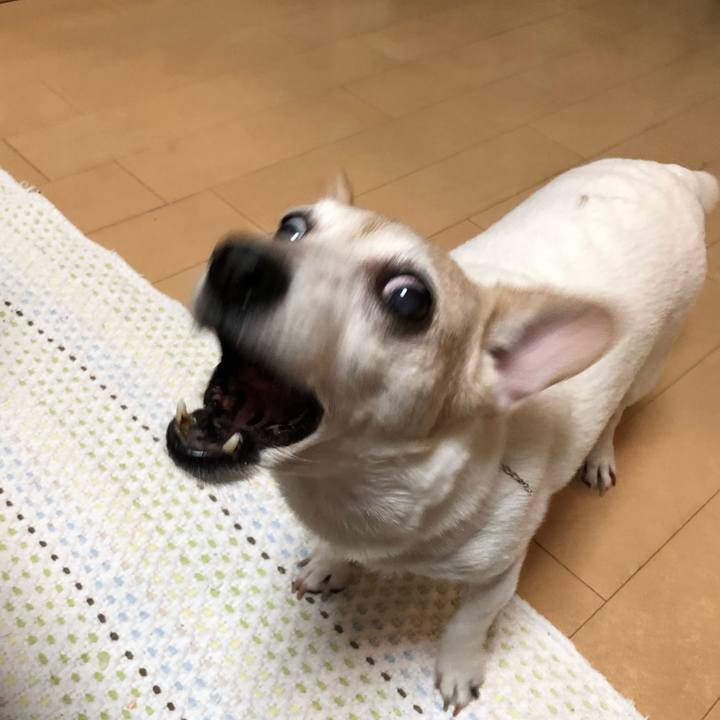 2ea0b840 a4b6 4fef bed3 1bc2da55458a 1542098742610