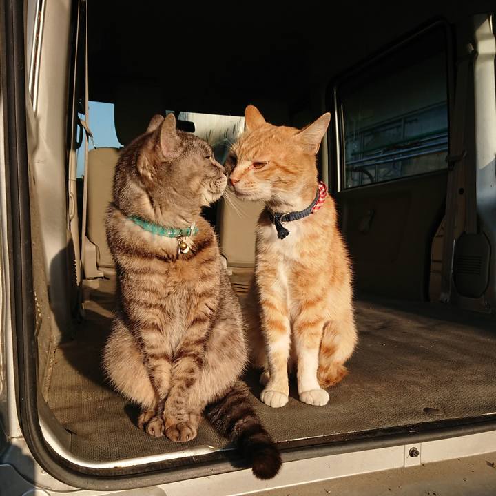 2ea0c413 08bd 46f5 99e6 68d4388cbf29 1558730981953