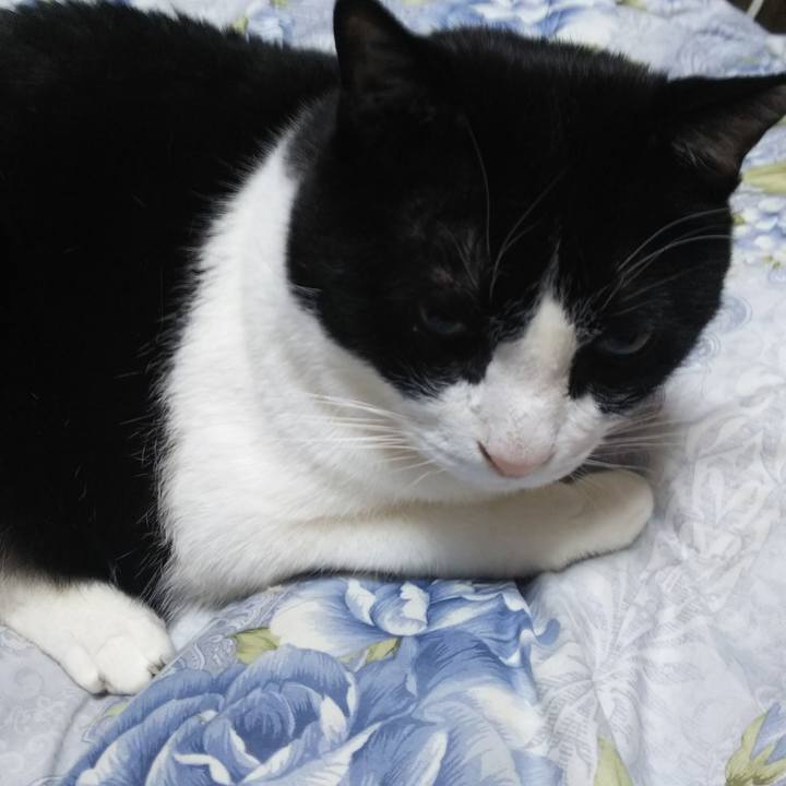 2ea1109f 25ff 4393 ab40 e0bbfa4e9cb0 1551300807562