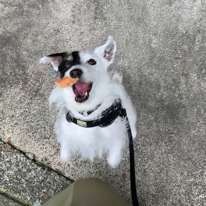 2ea11416 b68f 48fe 8227 edd3d3f48003 1748823249269