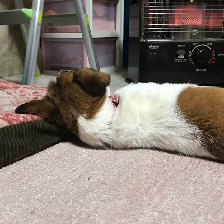 2ea11b80 e3b4 4b8e 9d6a 1e7ab4855354 1546944669016