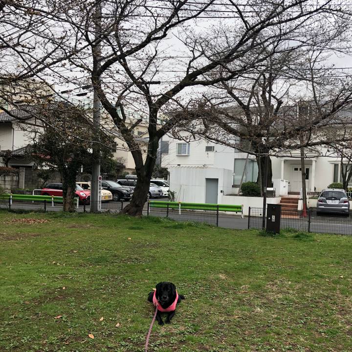 2ea1215a 1b54 46b5 93a9 e3fbcc300101 1521532668371