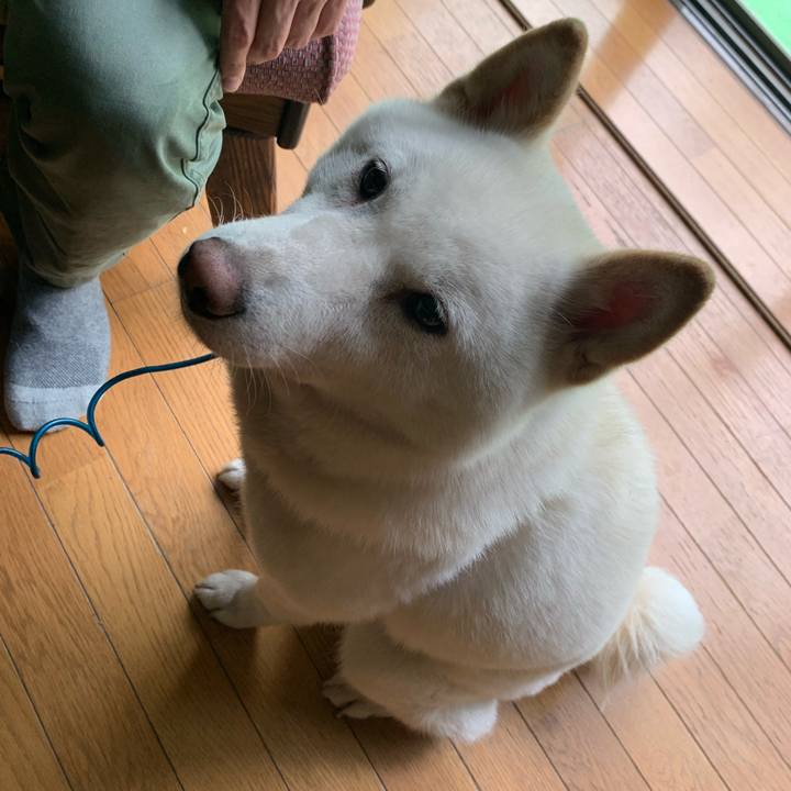 2ea124ea 9eef 4999 ae31 19b706f775f3 1595131127982