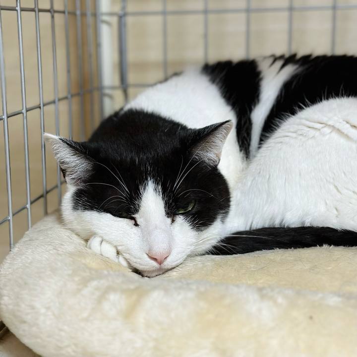 2ea13ffe f1c4 4b2b a4b8 d253da32d6ae 1678842767446